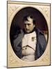 Napoleon in Fountainebleau-Paul Delaroche-Mounted Giclee Print