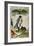 Napoleon on St Helena, 1815-1821-null-Framed Giclee Print