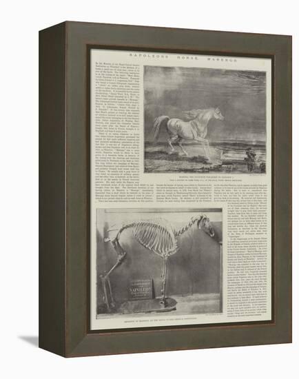 Napoleon's Horse, Marengo-James Ward-Framed Premier Image Canvas