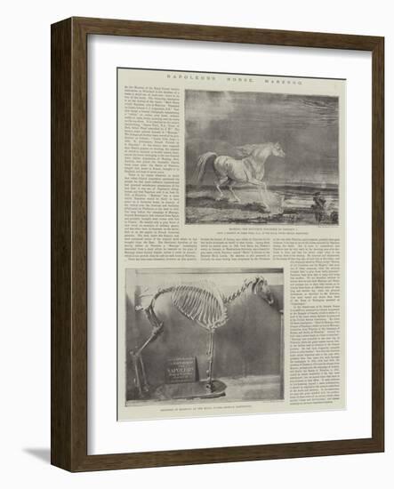 Napoleon's Horse, Marengo-James Ward-Framed Giclee Print