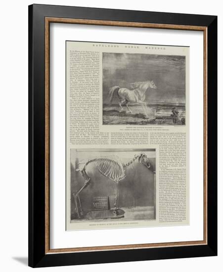 Napoleon's Horse, Marengo-James Ward-Framed Giclee Print