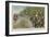 Napoleon's Mode of Travelling-Felicien Baron De Myrbach-rheinfeld-Framed Giclee Print