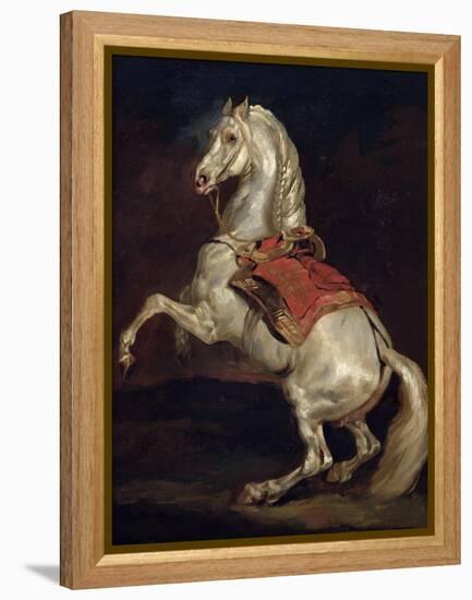 Napoleon's Stallion, Tamerlan-Théodore Géricault-Framed Premier Image Canvas