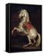 Napoleon's Stallion, Tamerlan-Théodore Géricault-Framed Premier Image Canvas