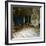 Napoleon's Throne-Room, 19th century-Unknown-Framed Photographic Print