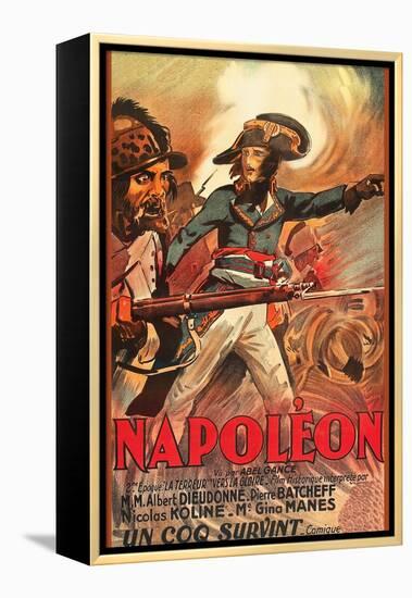 Napoleon-null-Framed Stretched Canvas