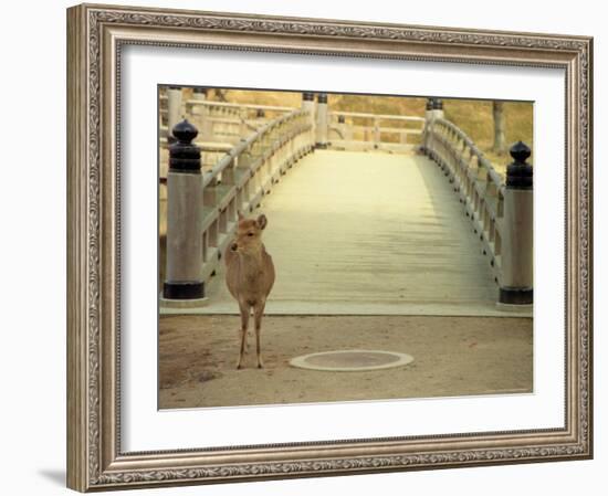 Nara City, Nara, Japan-Shin Terada-Framed Photographic Print