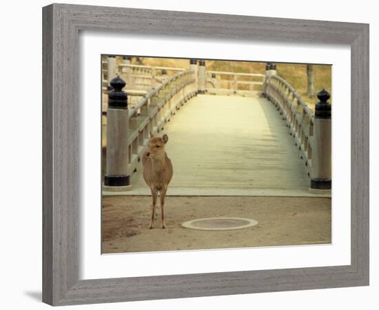 Nara City, Nara, Japan-Shin Terada-Framed Photographic Print