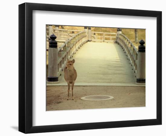 Nara City, Nara, Japan-Shin Terada-Framed Photographic Print