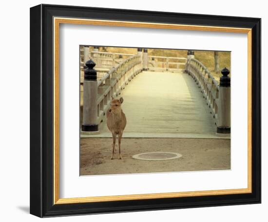 Nara City, Nara, Japan-Shin Terada-Framed Photographic Print