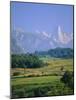 Naranjo De Bulnes (Peak), Picos De Europa Mountains, Asturias, Spain, Europe-David Hughes-Mounted Photographic Print