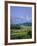 Naranjo De Bulnes (Peak), Picos De Europa Mountains, Asturias, Spain, Europe-David Hughes-Framed Photographic Print