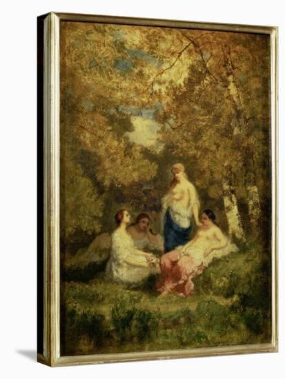 Stretched Canvas Print, , large