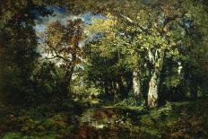 The Pond, Mid-19th Century-Narcisse Virgile Diaz de la Pena-Framed Giclee Print