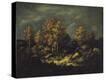 Stretched Canvas Print