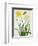 Narcissi and Butterfly (W/C and Gouache with Gold over Pencil on Vellum)-Matilda Conyers-Framed Premium Giclee Print