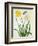Narcissi and Butterfly (W/C and Gouache with Gold over Pencil on Vellum)-Matilda Conyers-Framed Giclee Print