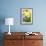 Narcissi, Daffodils, Grape Hyacinths-Sweet Ink-Framed Premium Photographic Print displayed on a wall