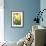 Narcissi, Daffodils, Grape Hyacinths-Sweet Ink-Framed Photographic Print displayed on a wall