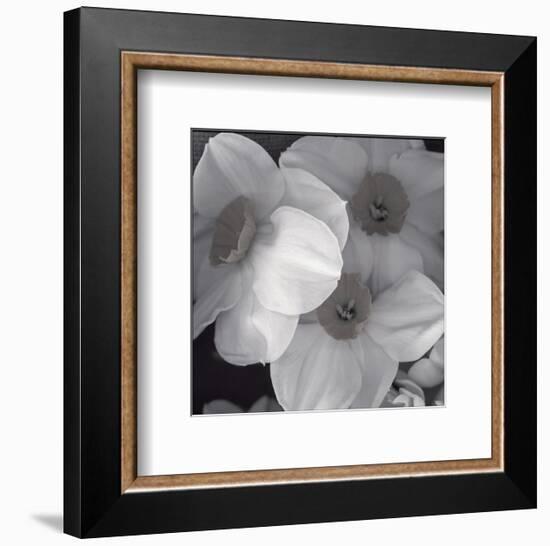 Narcissi for the Wedding I-Richard Sutton-Framed Premium Giclee Print