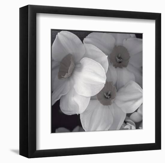 Narcissi for the Wedding I-Richard Sutton-Framed Art Print