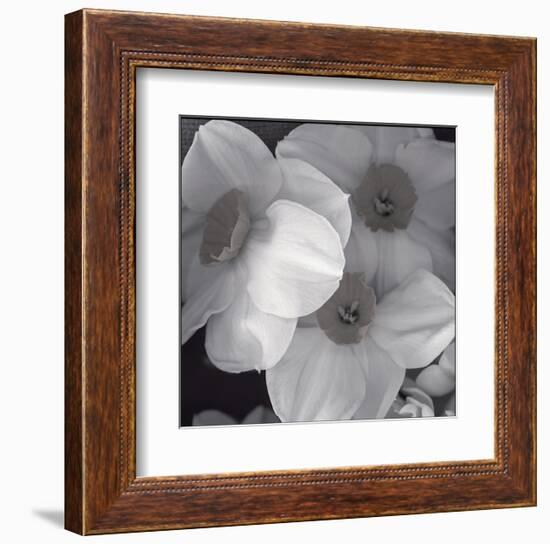 Narcissi for the Wedding I-Richard Sutton-Framed Art Print