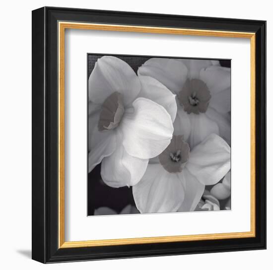 Narcissi for the Wedding I-Richard Sutton-Framed Art Print