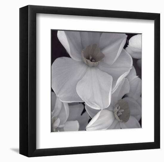 Narcissi for the Wedding II-Richard Sutton-Framed Art Print