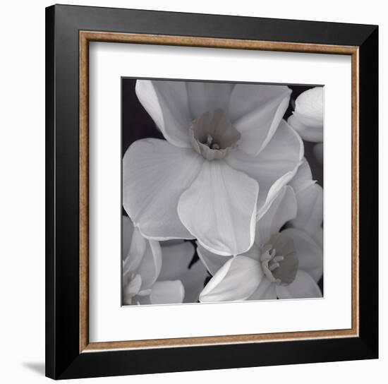 Narcissi for the Wedding II-Richard Sutton-Framed Art Print