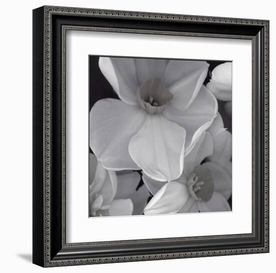 Narcissi for the Wedding II-Richard Sutton-Framed Art Print