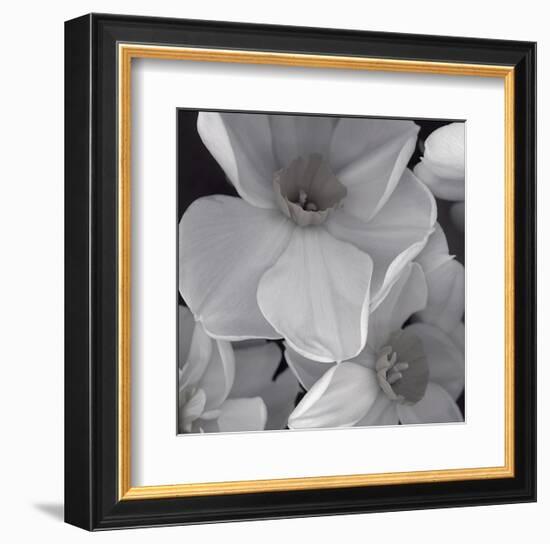 Narcissi for the Wedding II-Richard Sutton-Framed Art Print