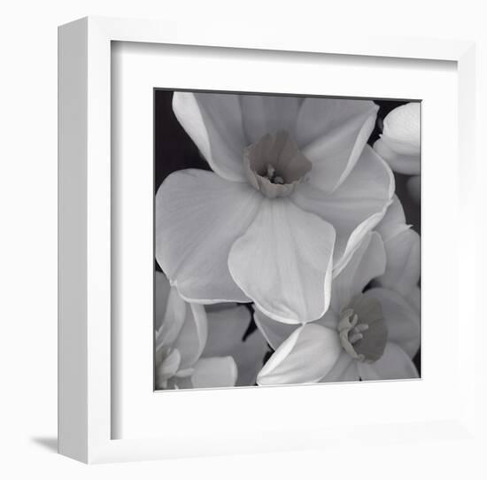 Narcissi for the Wedding II-Richard Sutton-Framed Art Print