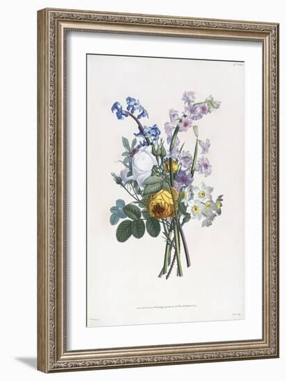 Narcissi, Rosa, Hyacynth, 1805-Jean-Louis Prevost-Framed Giclee Print