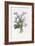 Narcissi, Rosa, Hyacynth, 1805-Jean-Louis Prevost-Framed Giclee Print