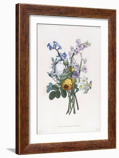 Narcissi, Rosa, Hyacynth, 1805-Jean-Louis Prevost-Framed Giclee Print