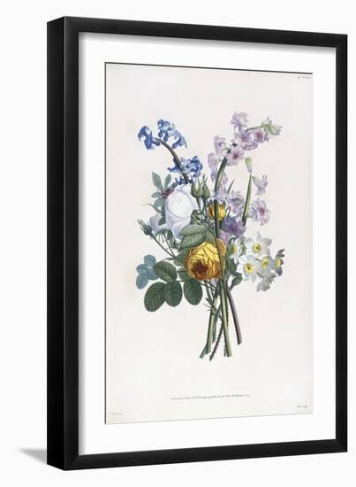 Narcissi, Rosa, Hyacynth, 1805-Jean-Louis Prevost-Framed Giclee Print