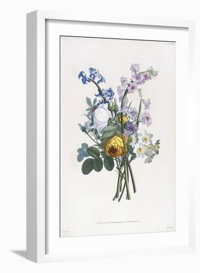 Narcissi, Rosa, Hyacynth, 1805-Jean-Louis Prevost-Framed Giclee Print