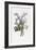 Narcissi, Rosa, Hyacynth, 1805-Jean-Louis Prevost-Framed Giclee Print