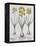 Narcissis Polyanthus-Basilius Besler-Framed Premier Image Canvas