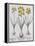 Narcissis Polyanthus-Basilius Besler-Framed Premier Image Canvas