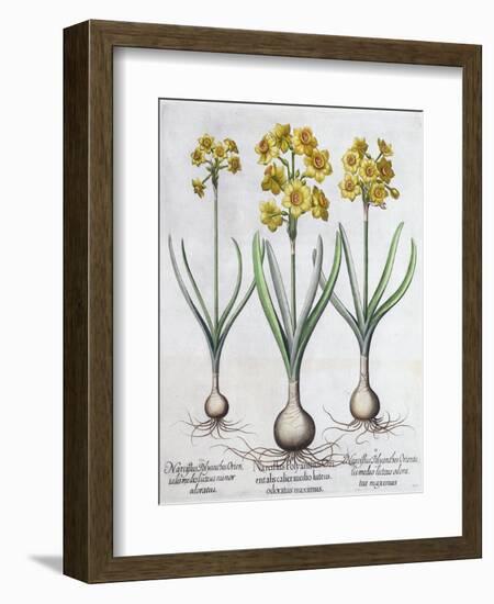 Narcissus, 1613-Unknown-Framed Giclee Print