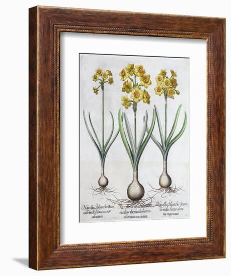 Narcissus, 1613-Unknown-Framed Giclee Print