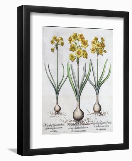 Narcissus, 1613-Unknown-Framed Giclee Print