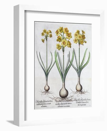 Narcissus, 1613-Unknown-Framed Giclee Print
