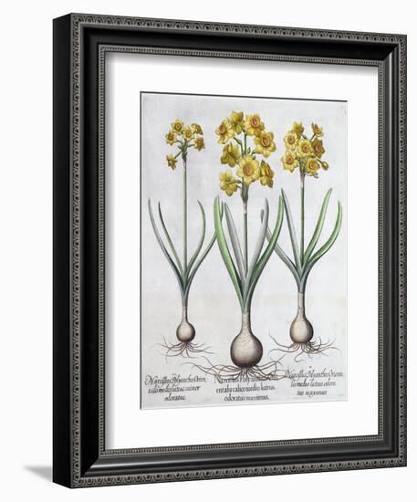 Narcissus, 1613-Unknown-Framed Giclee Print