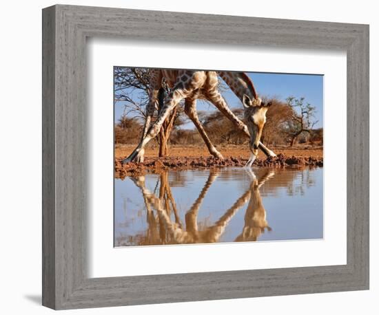 Narcissus,, 2019-Eric Meyer-Framed Photographic Print