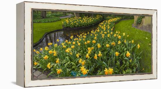 Narcissus by Reflecting Pond-Anna Miller-Framed Premier Image Canvas