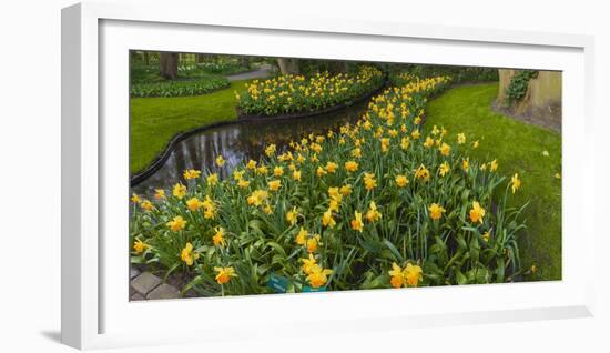 Narcissus by Reflecting Pond-Anna Miller-Framed Photographic Print