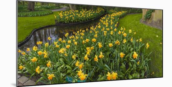 Narcissus by Reflecting Pond-Anna Miller-Mounted Photographic Print