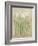 Narcissus Cool-Cheri Blum-Framed Art Print